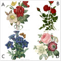 心理測試：4種鮮花，哪種最高貴？測你遇到的理想愛人是？神準！
