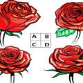 心理測試：4朵玫瑰花選一朵，測試出你愛的TA是否偷偷想著你？