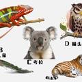 心理測試：假如你在森林遇到下列動物求救，你會救誰？測出你的個性