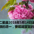 十二星座2018年5月14日運勢：忙碌的週一，要踏踏實實的~