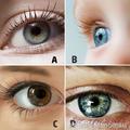 心理測試：四隻眼睛選一個，測試你內心最渴望的是？
