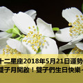 十二星座2018年5月21日運勢：雙子月開啟！雙子們生日快樂~