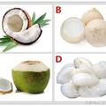 星座心理測試：你會要哪種椰子？測出你有幸抓住價值千萬的愛人嗎
