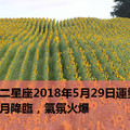 十二星座2018年5月29日運勢：滿月降臨，氣氛火爆