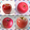 心理測試：選一個你認為最甜的蘋果，測測你到底有多聰明？超准哦