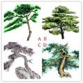 心理測試：4棵松樹，哪1棵生命力最強？測試你的老年生活如何