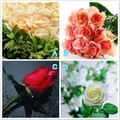 心理學：下面四朵玫瑰花，你最喜歡哪朵？測試你未來老公的檔次！
