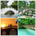 心理測試：七夕鵲橋會，選一條小橋，測你最近的桃花運如何，神準 