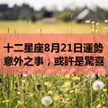 十二星座8月21日運勢：意外之事，或許是驚喜