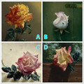 心理學：四朵花，你認為哪朵是真正的鮮花？測你的魅力值有多大？