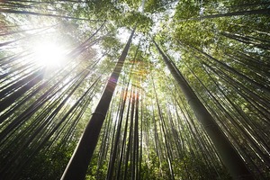 【十二星神】預測十二星座9月14日運勢 雙子嶄露頭角天秤迎刃而解