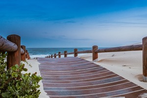 蘇珊米勒8.4｜射手被人利用；摩羯保持專業性