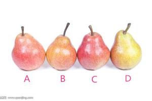 心理測試：四個梨你會吃哪一個、看看你最不願離開誰？超准的