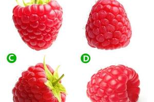 心理測試：你認下面那個樹莓最新鮮，測怎麼撩你才算真的喜歡你？