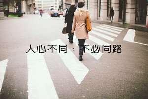 人心不同，不必同路（精闢）