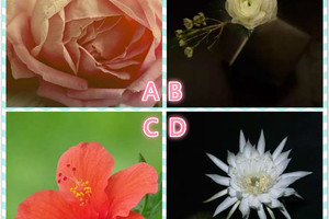 心理學：看到哪朵花能讓你心情愉悅？測出你命中注定會得到什麼？