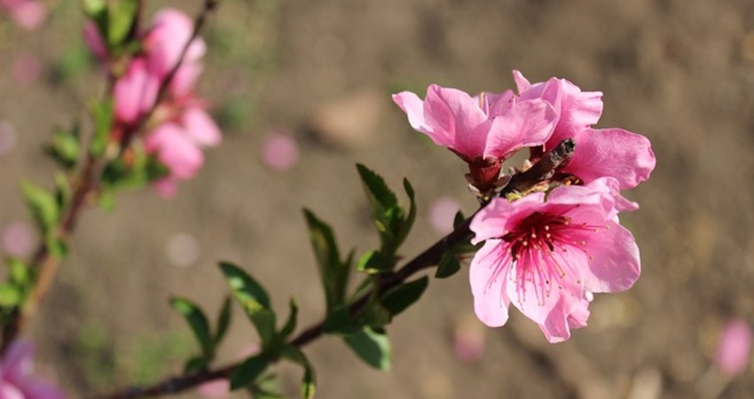 十二星座3月19日運勢丟三落四榜 巨蟹座 射手座 摩羯座 Fun01 創作分享