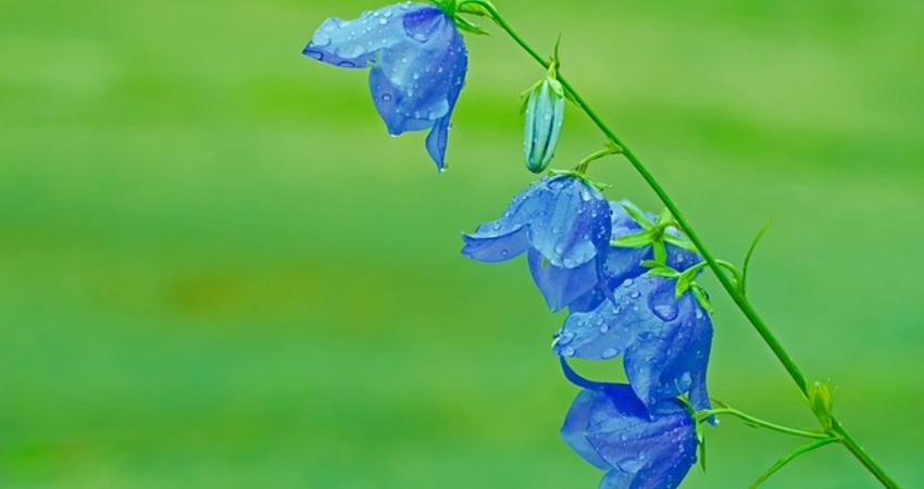 十二星座9月4日運勢三思而後行 雙子座 巨蟹座 摩羯座 Fun01 創作分享