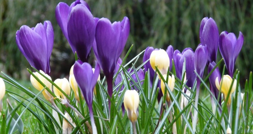 十二星座10月日運勢出人意料的新月 Fun01 創作分享 十二星座10月日運勢出人意料的新月 Fun01 創作分享