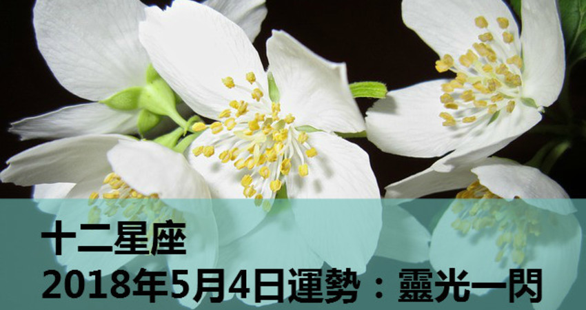 十二星座18年5月4日運勢 靈光一閃 Fun01 創作分享 十二星座18年5月4日運勢 靈光一閃 Fun01 創作分享