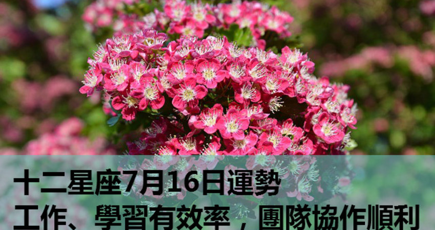 十二星座7月16日運勢 工作 學習有效率 團隊協作順利 Fun01 創作分享 十二星座7月16日運勢 工作 學習有效率 團隊協作順利 Fun01 創作分享