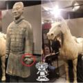 悲劇！兵馬俑借美國展覽竟「拇指被偷」中國要究責求償怒嗆：看看美國國民的素質！