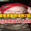 2歲男童罹患腦癌罕病童活不到聖誕家人為他提早慶祝