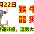 9月22日生肖運勢_猴、牛、雞大吉