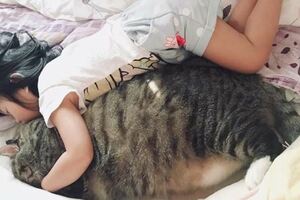 妹妹抱著「11公斤」貓主子睡午覺，網友一看嚇翻，還以為是隻「海豹」！