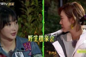 柳岩38歲仍未結婚，汪涵一句話解開心結：有的人，並不需要婚姻！