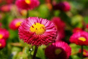 這輩子什麼才是最好