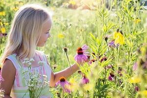 「林深時見鹿海藍時見鯨夢醒未曾見妳」是否紅了眼