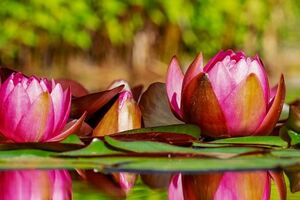 一針見血的句子：自古深情留不住，總是套路得人心