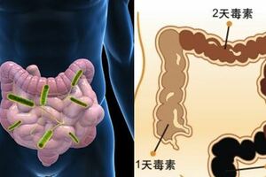 經常放屁的人要注意了！你可能有這些疾病的隱憂…這其實是身體發出的警告！
