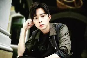 當紅男星事業有成、愛情美滿，出國服兵役竟出意外