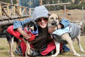 拉薩最美女孩：那些我救助的流浪小可愛，讓我看見生命的光