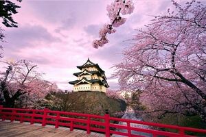 日本是個很乾淨的國家，在日常生活中，他們有六個愛乾淨的習慣