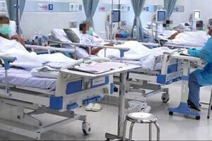 癌症老婆想「落葉歸根」，老公盡力「做最後一次努力」，得知轉診成功，診間瞬間灑滿洋蔥！