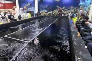 台中這間「釣蝦場」超狂，入門費比別人貴三倍，但「物超所值」，常客大讚「3小時釣到手軟！」