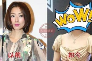 鄭秀文最新活動未P照，三層眼袋太搶鏡，相比下惠英紅又美又霸氣