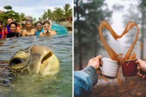 千分之一秒的瞬間！　25張「錯過就再也拍不到」的經典照片