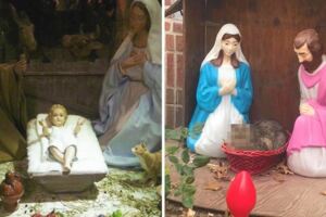 喵星人模仿「耶穌誕生」不爽人類圍觀　「結屎臉」表情讓網友都笑爛