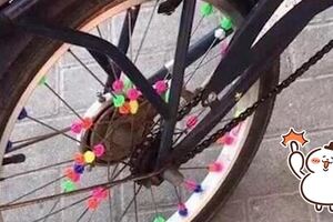 一張圖勾起許多網友的美好回憶，但聽說看懂的人都已經上年紀了…