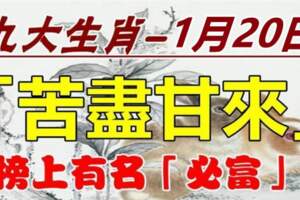 1月20日（苦盡甘來）九大生肖必富