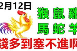 2月12日生肖運勢_馬、虎、兔大吉