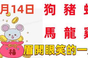 2月14日十二生肖【每日老黃曆】