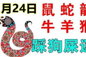 2月24日生肖運勢_鼠、蛇、龍大吉