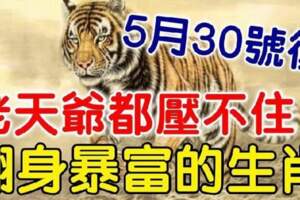 過了5月30號老天爺都壓不住，翻身暴富的生肖