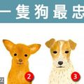 哪一隻狗最忠心？測你的異性緣有多強！