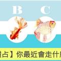 占卜測試-選一隻金魚測你最近走啥好運氣？